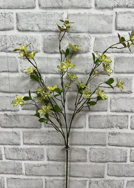 Green Plum Flower Stem