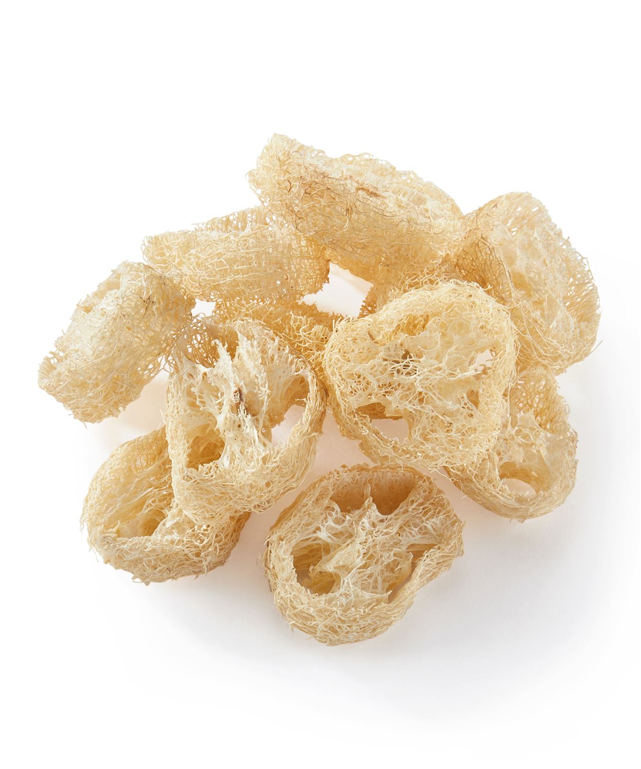 Loofah Botanical Vase and Bowl Fillers