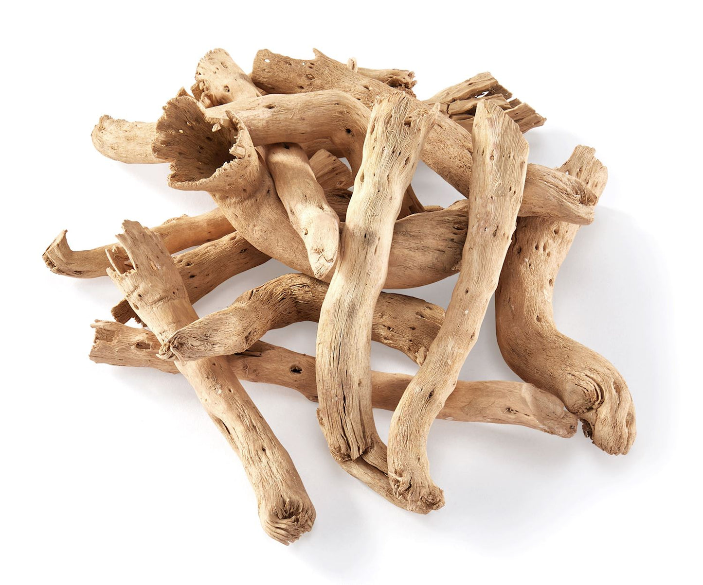 Paper White Root Botanical Vase and Bowl Fillers