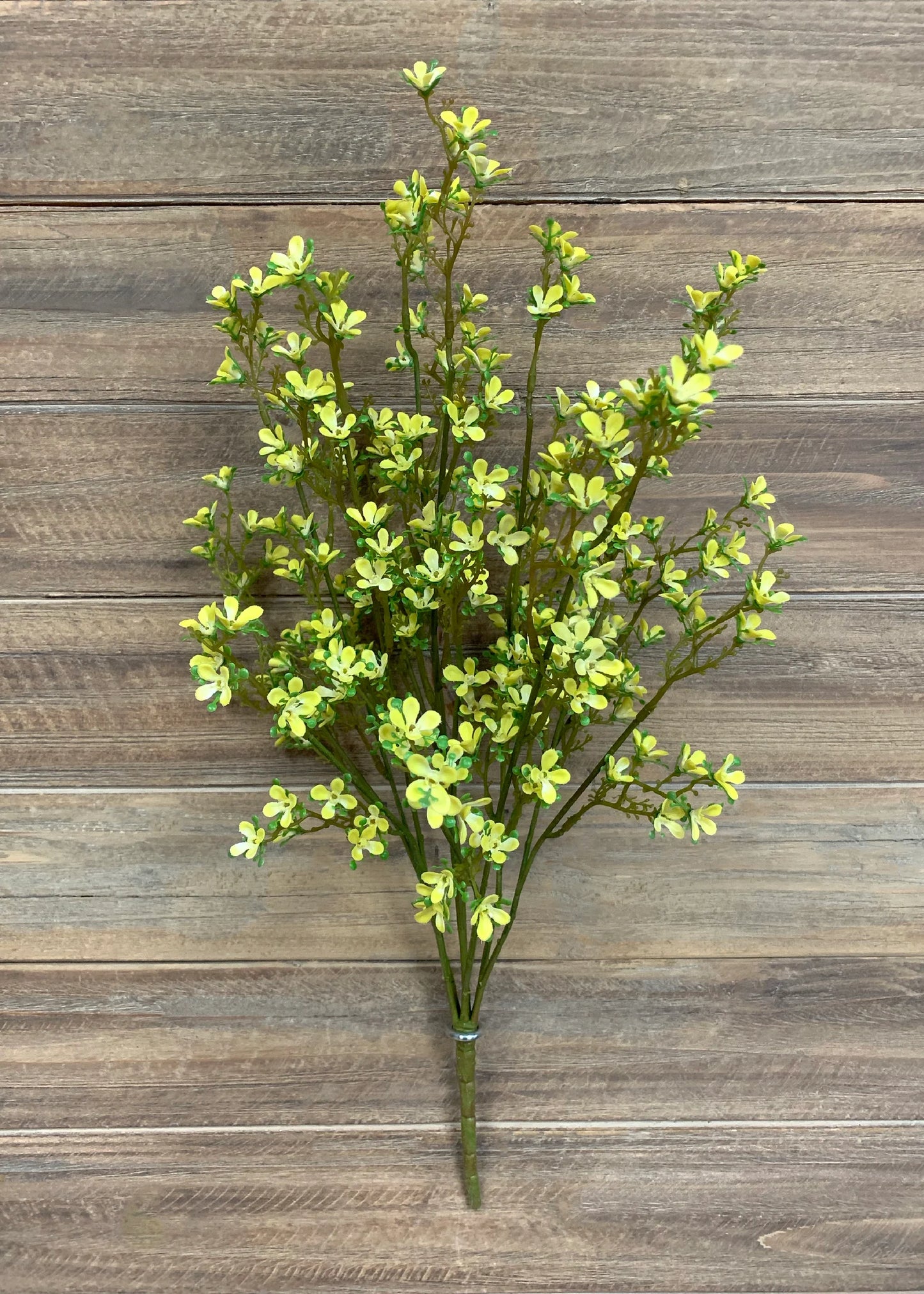 Yellow Mini Bush