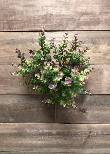 Eucalyptus Bush