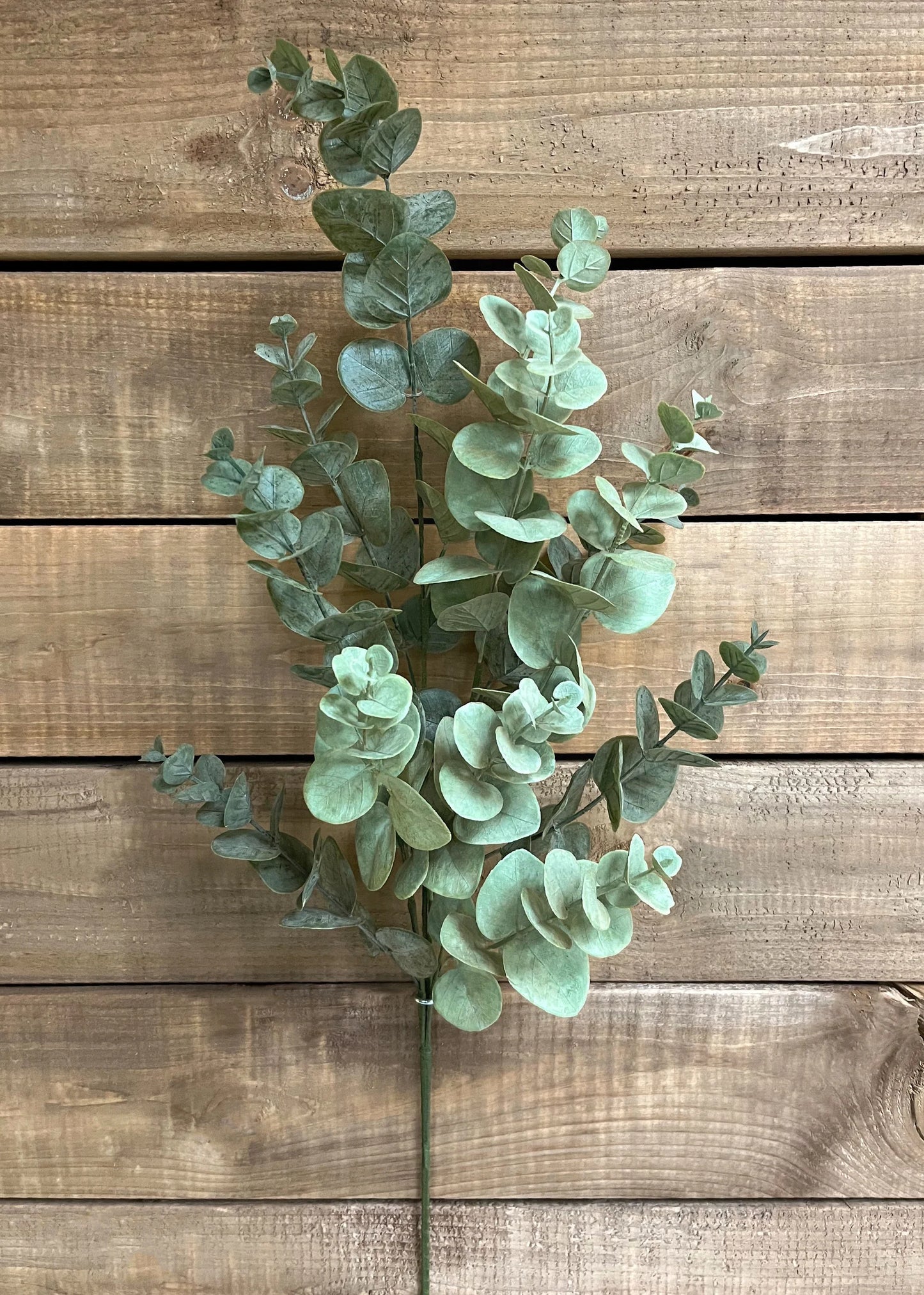 Sage Green Eucalyptus 34"