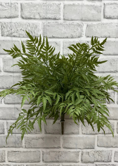 Fresh Touch Ming Aralta Bush