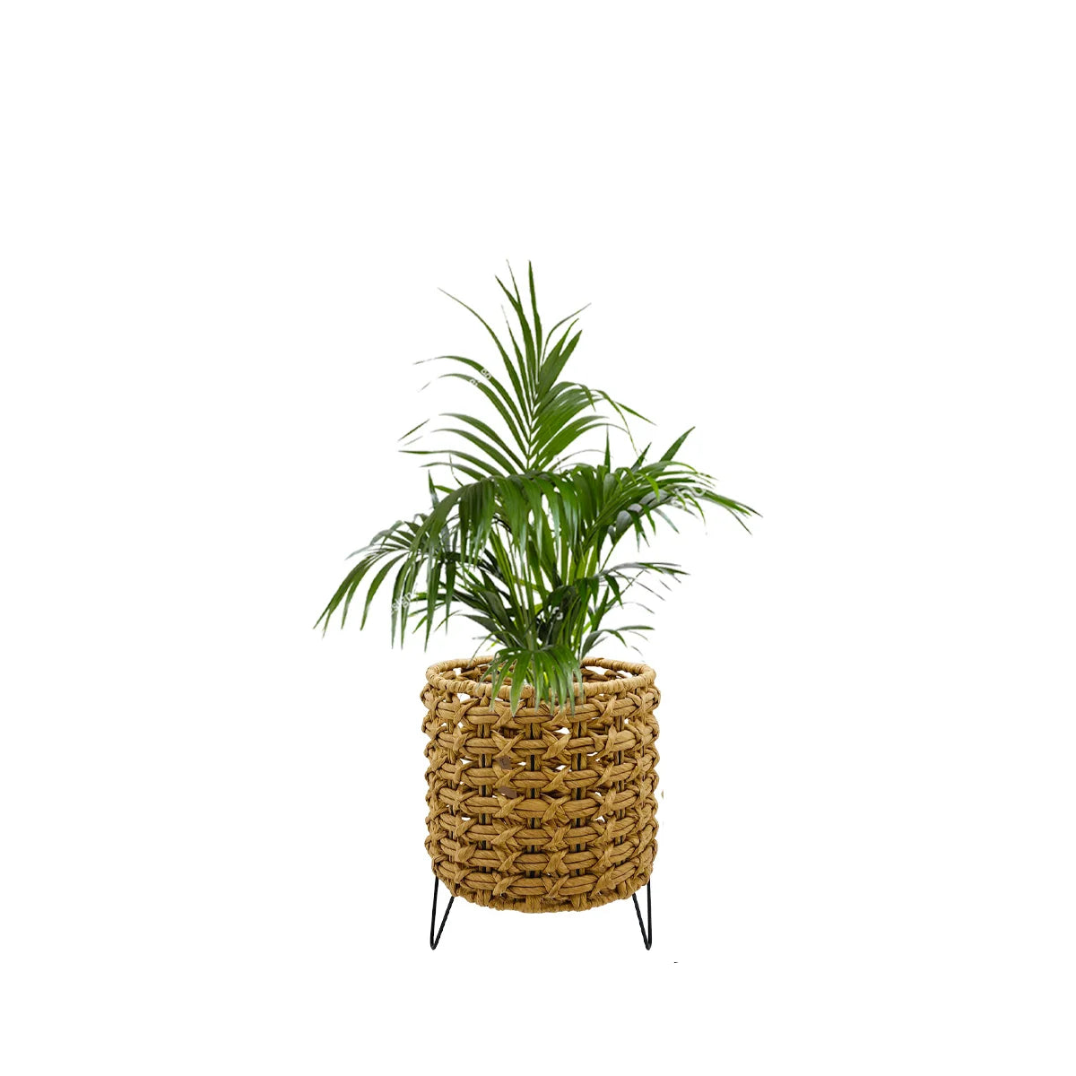 Woven Basket Planter with Metal Legs (2 Sizes)