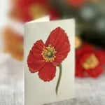 Popup Card - French Poppies