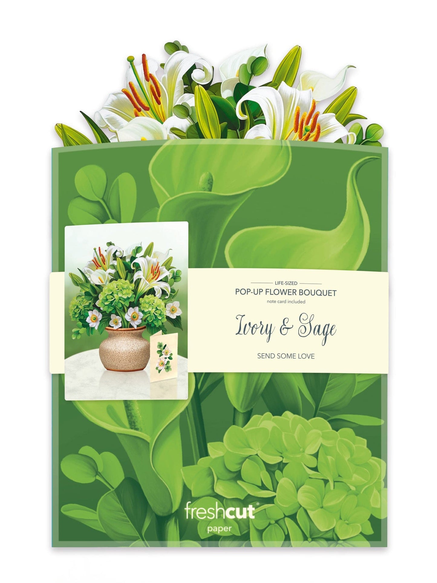 Popup Card - Ivory & Sage