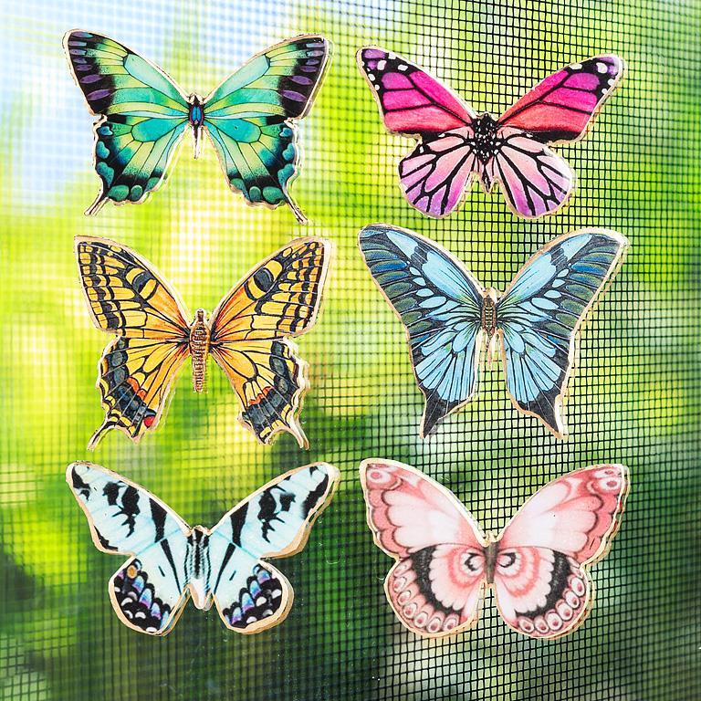 Butterfly Two-Sided Magnet - Joshua & Company