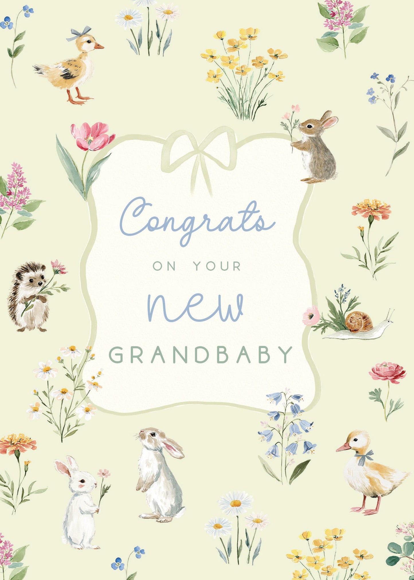 Greeting Card - New Grandbaby