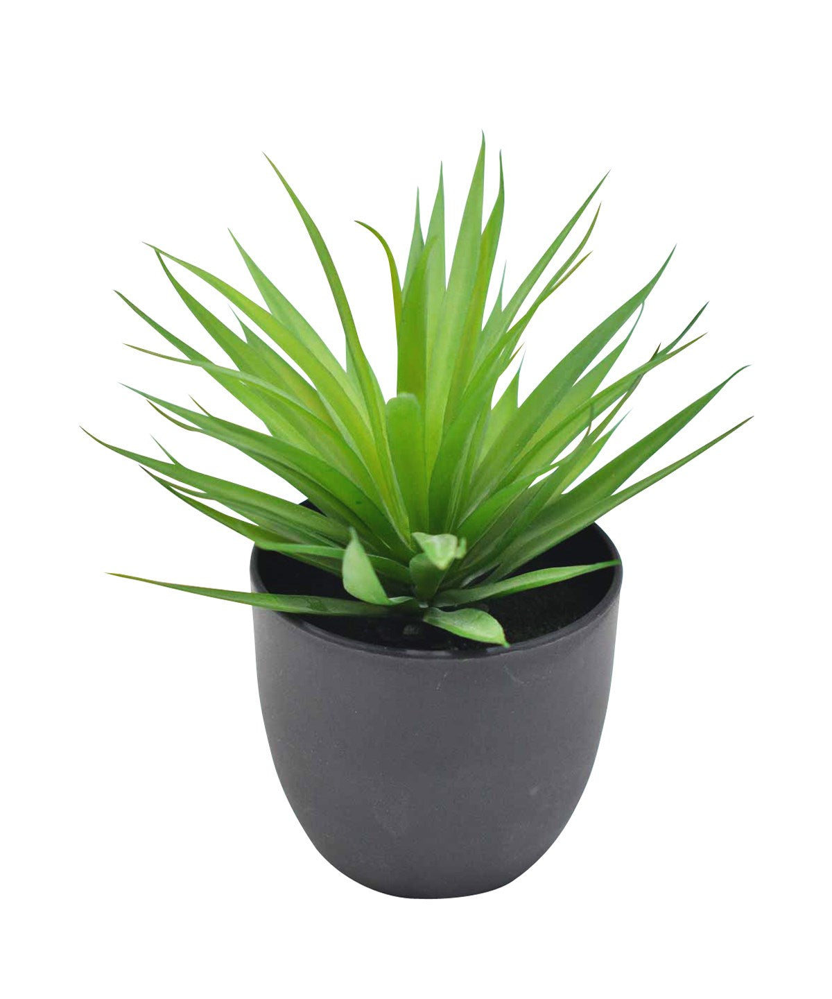 Faux Plant in Black Pot