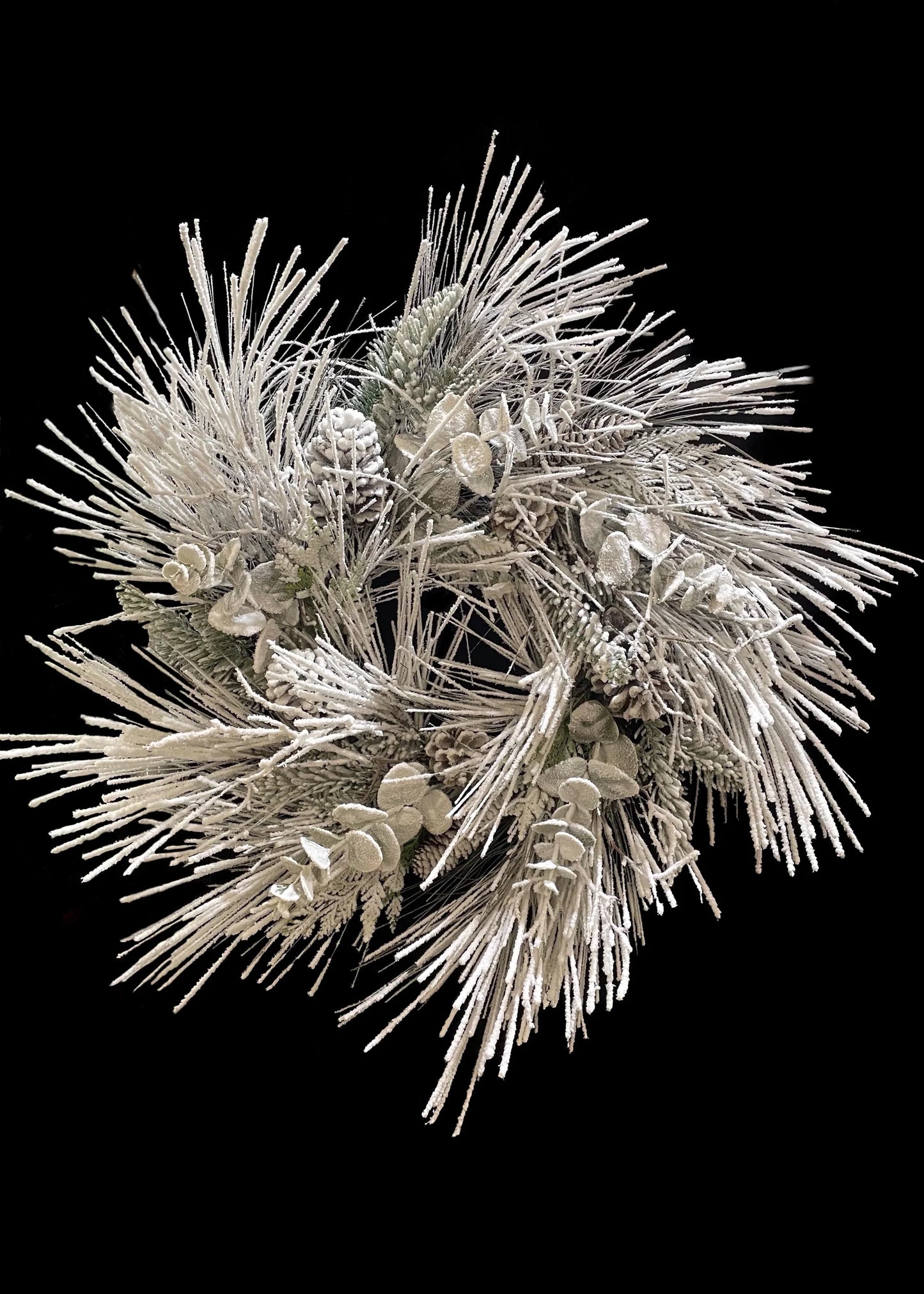 Snowed Sugar Pine Wreath with Pinecones 24"