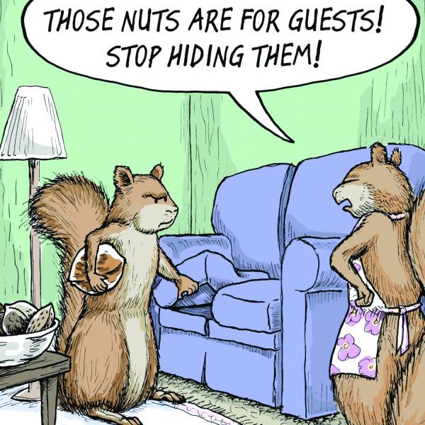 Birthday Card - Nuts for Guests