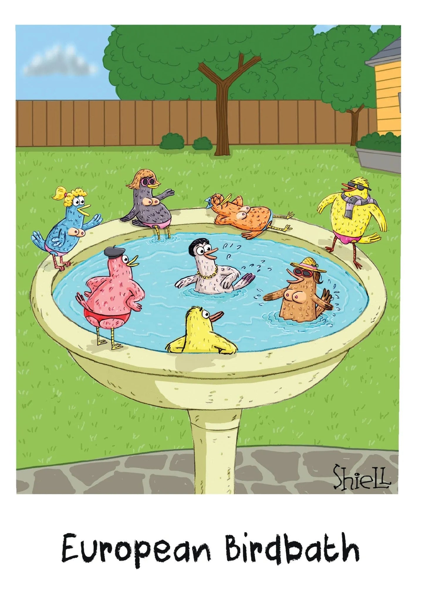 Birthday Card - Bird Bath