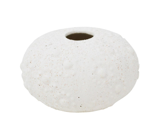 Sea Urchin Vase