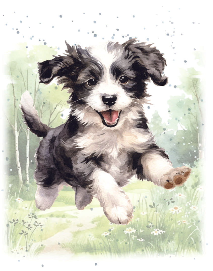 Small Card- Bounding Around