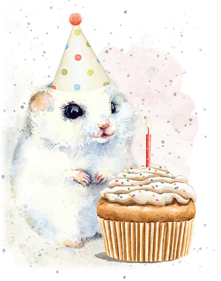 Small Card- One Little Wish