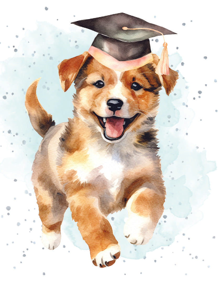 Small Card- Highly Educated