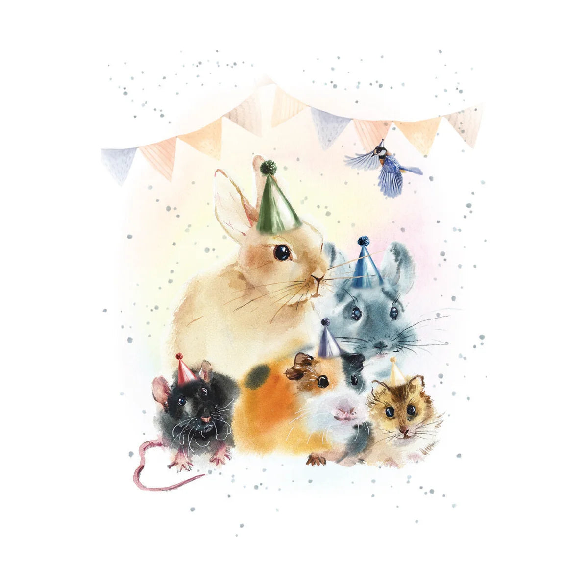 Small Card- Whole Gang