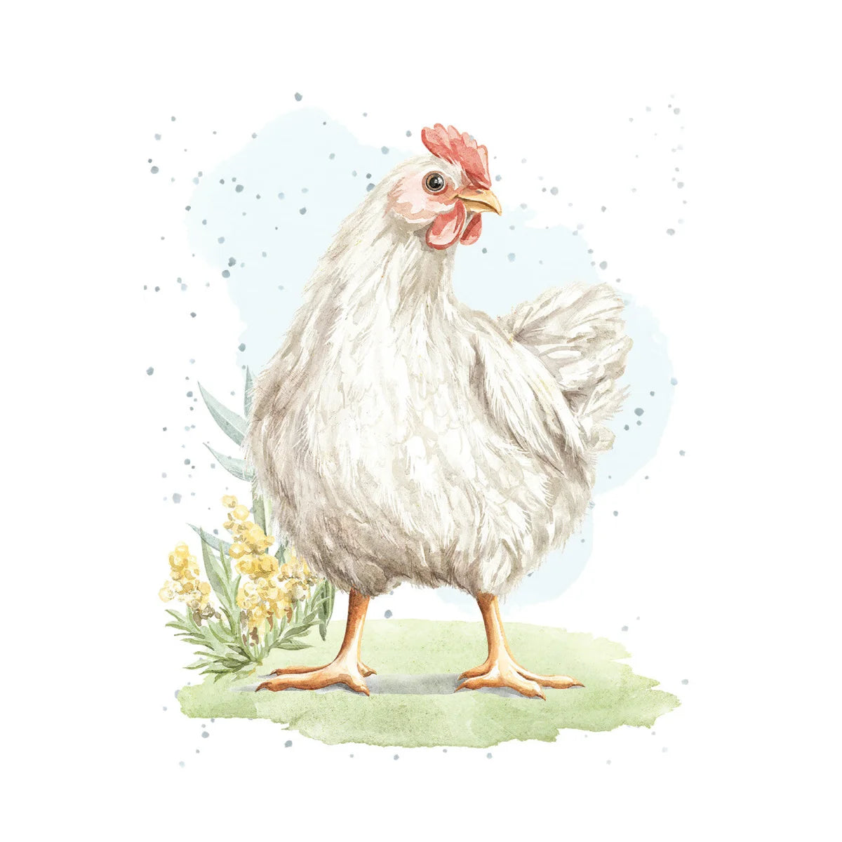 Small Card - Chicken In