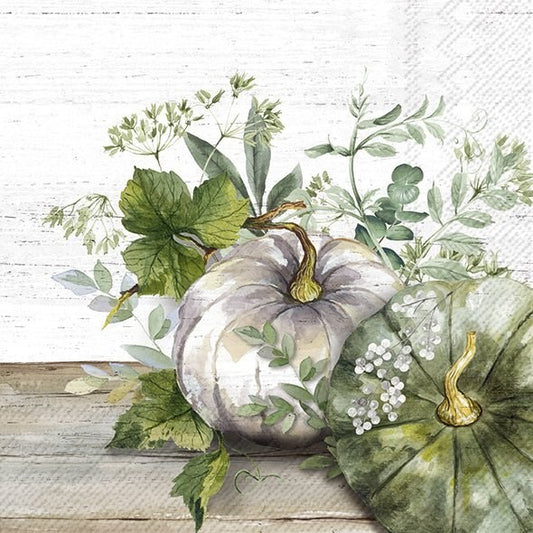 Green and White Pumpkin Napkins - Assorted Sizes