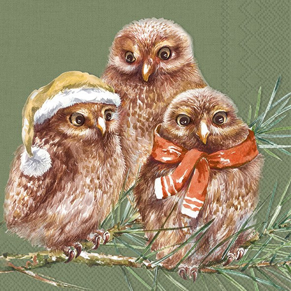 Winter Owls Paper Napkins