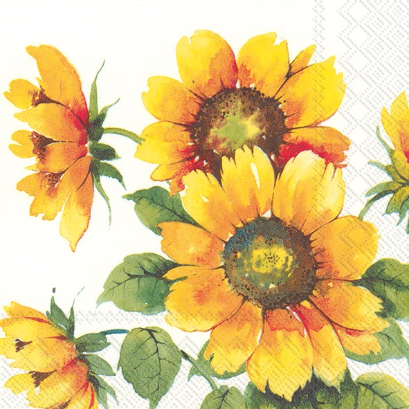 Colourful Sunflowers Paper Napkins (3 Sizes)