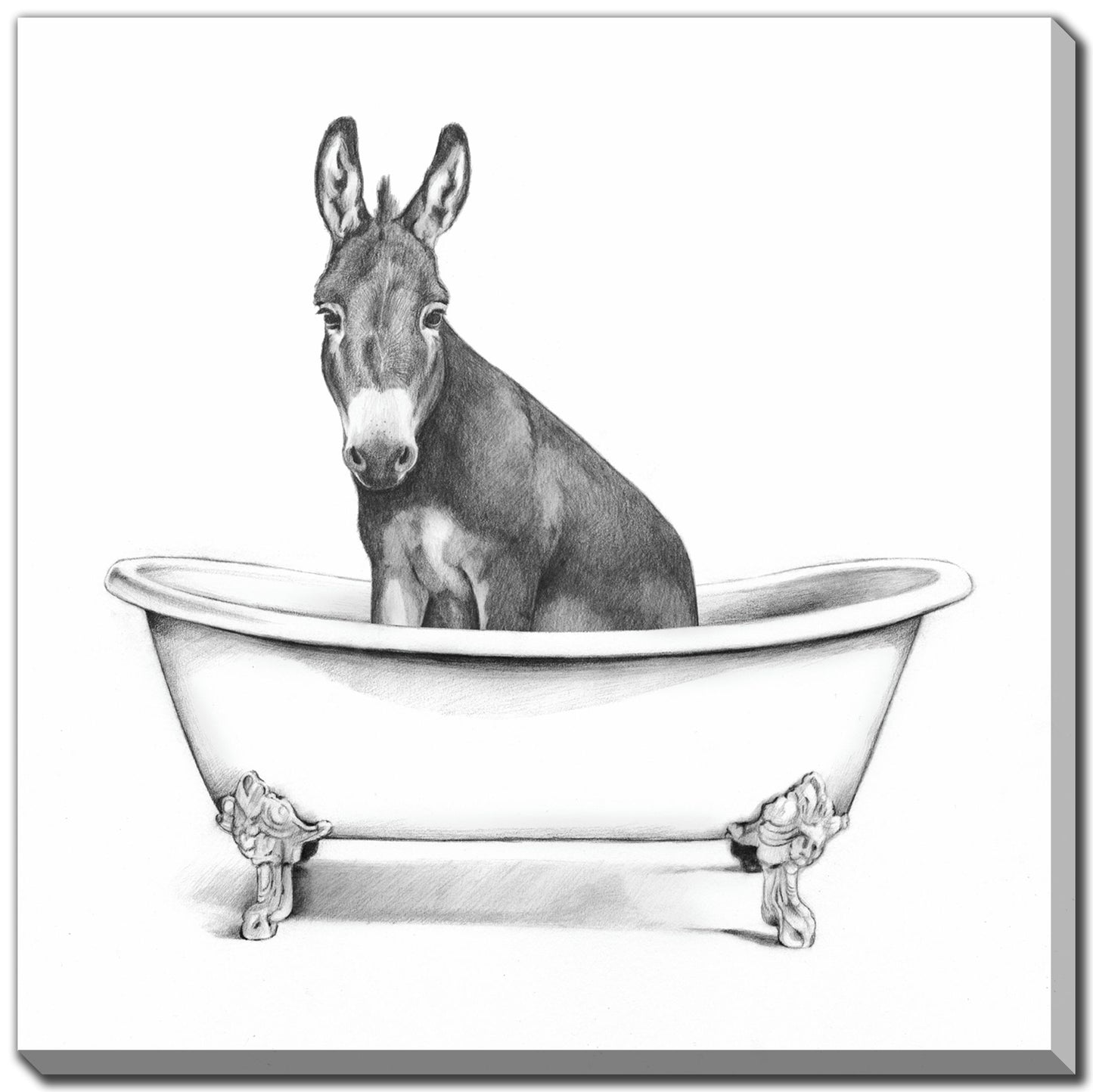 Donkey in Clawfoot Tub *Pick Up Only