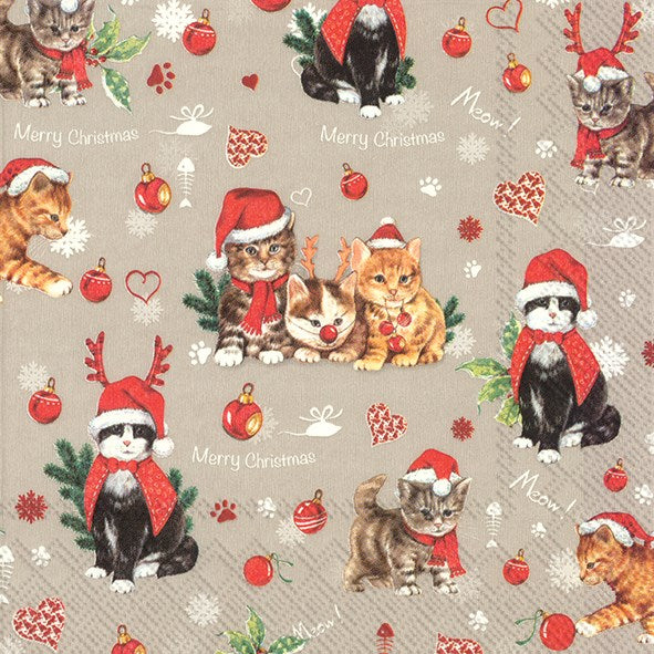 Cats Celebration Paper Napkins