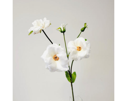 Butterfly Ranunculus Spray