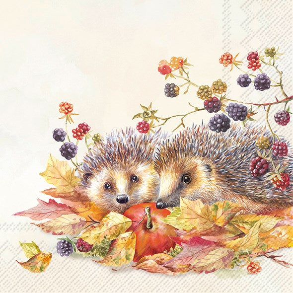 Hedgehog Friends Paper Napkins