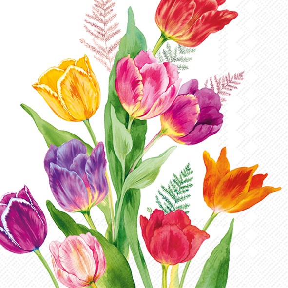 Bright Tulips Napkins (3 Sizes)