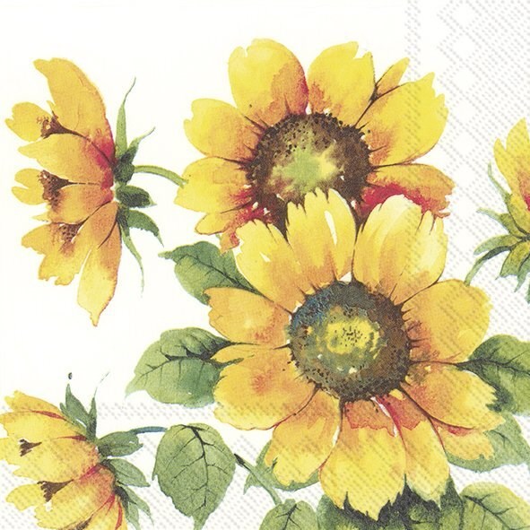 Colourful Sunflowers Napkins - Assorted Sizes