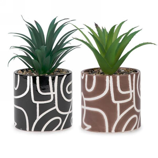 Artificial Plant in Ceramic Pot - Assorted Styles