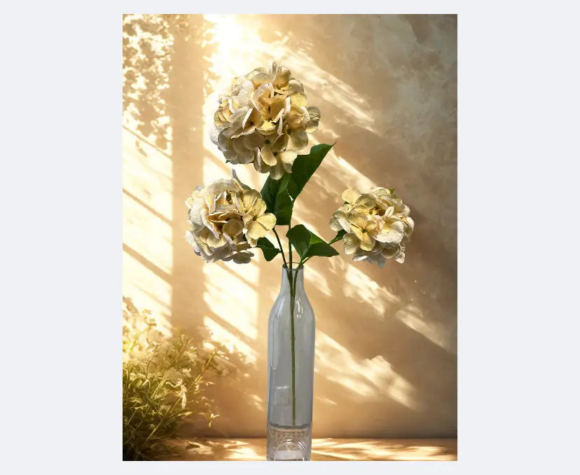 Cream and Green Hydrangea