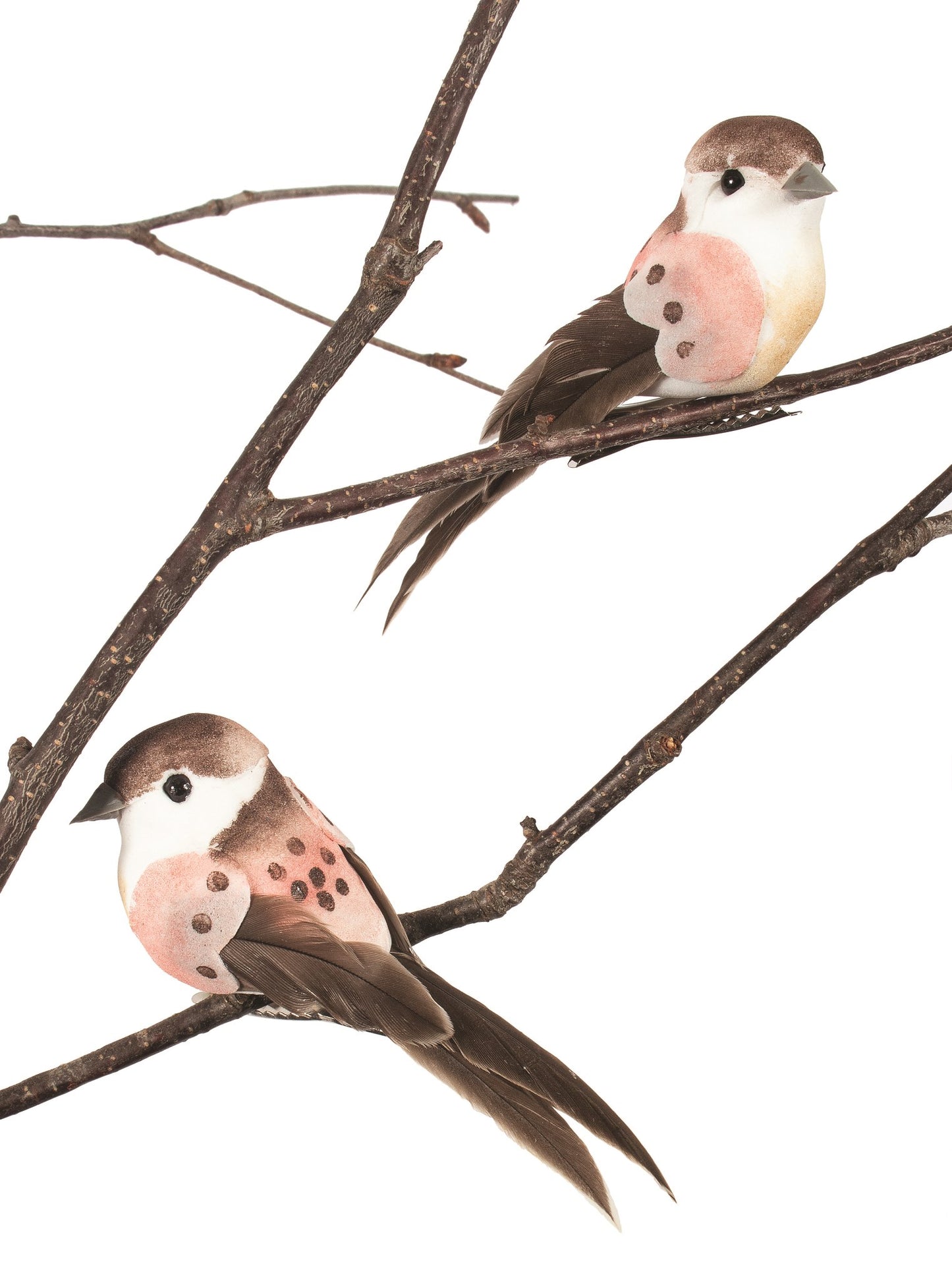 Pink and Brown Birds s/2