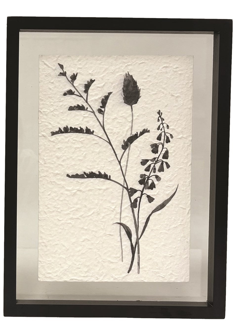 Black Botanical Print B