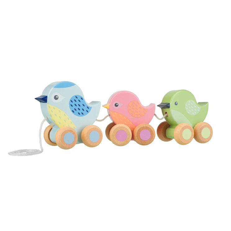 Pull Along Birdies Wooden Toy