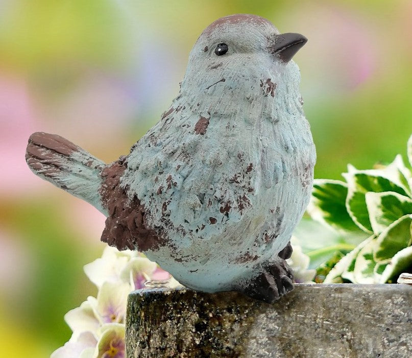 Blue with Brown Bird