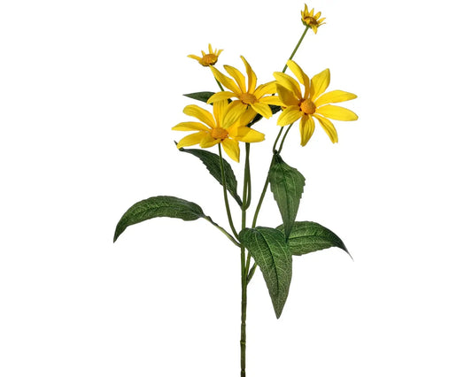 Mountain Daisy Spray