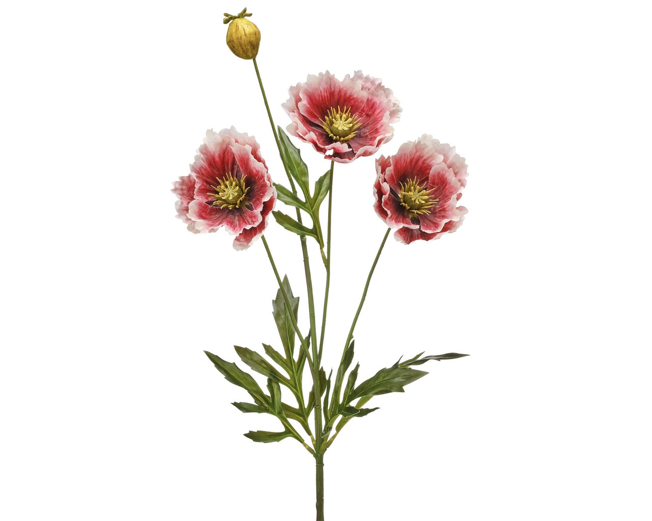 Cream and Pink Poppy Spray with Bud