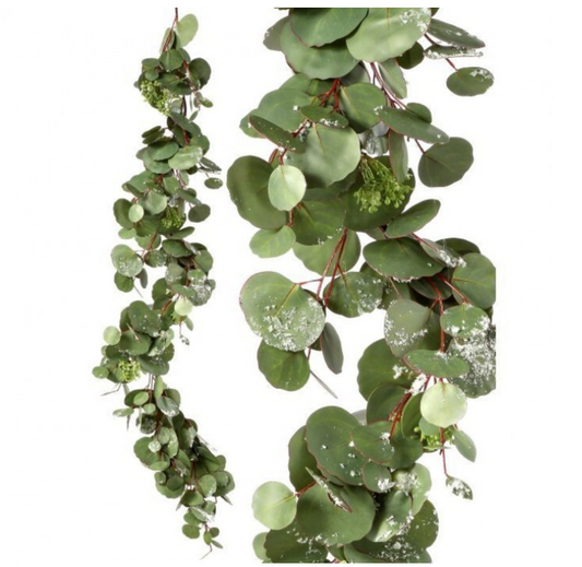Frosted Silver Dollar Eucalyptus Garland 48"