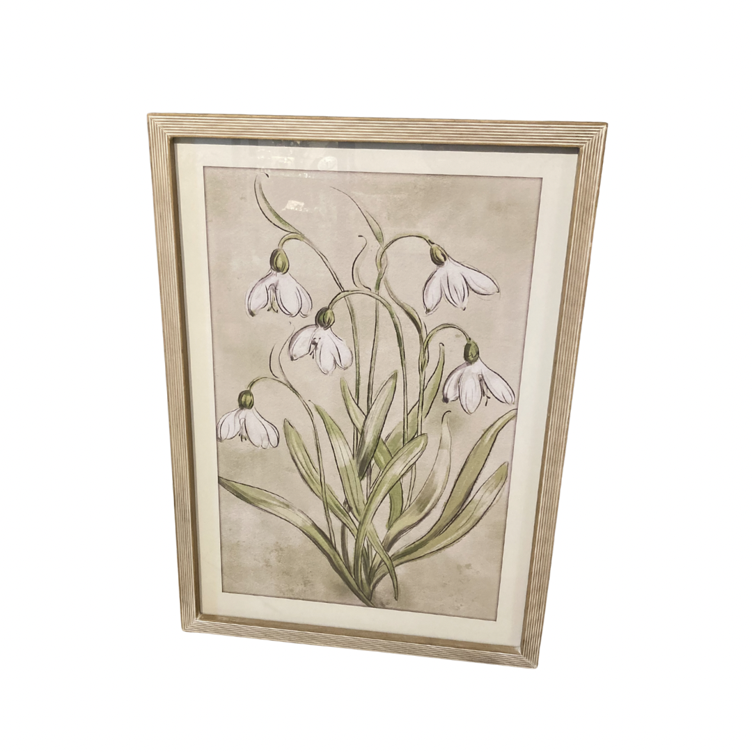 Botanical Wall Art - Joshua & Company