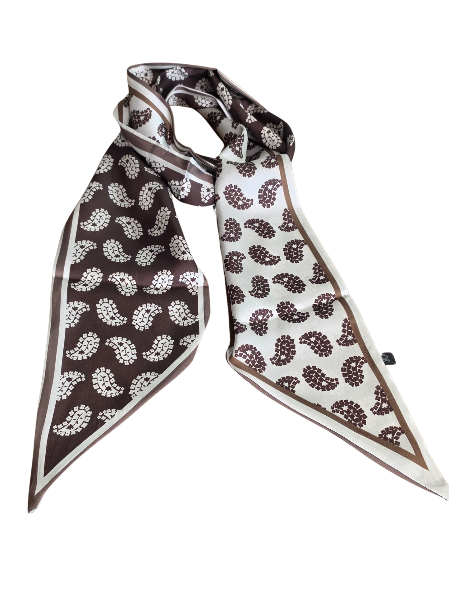 Paisley Print Skinny Scarf