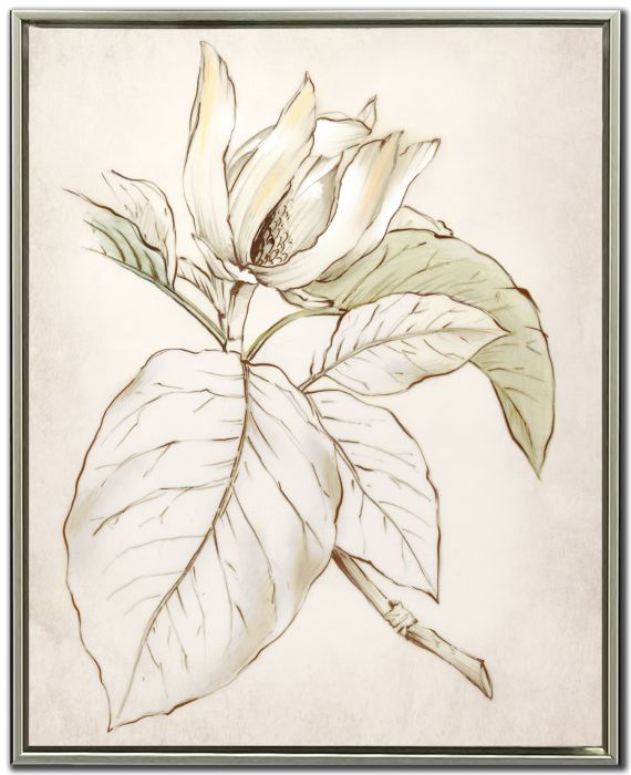 Botanical II Print *Pick Up Only