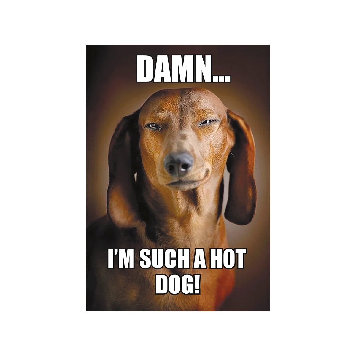 Dachshund Birthday Card