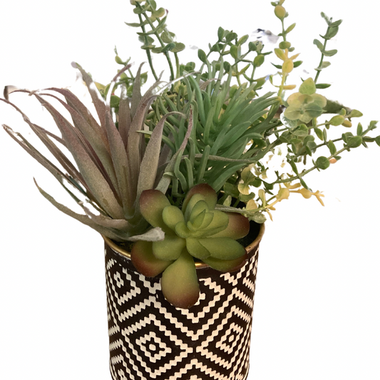 White and Black Pot with Succulents Floral Arrangement
