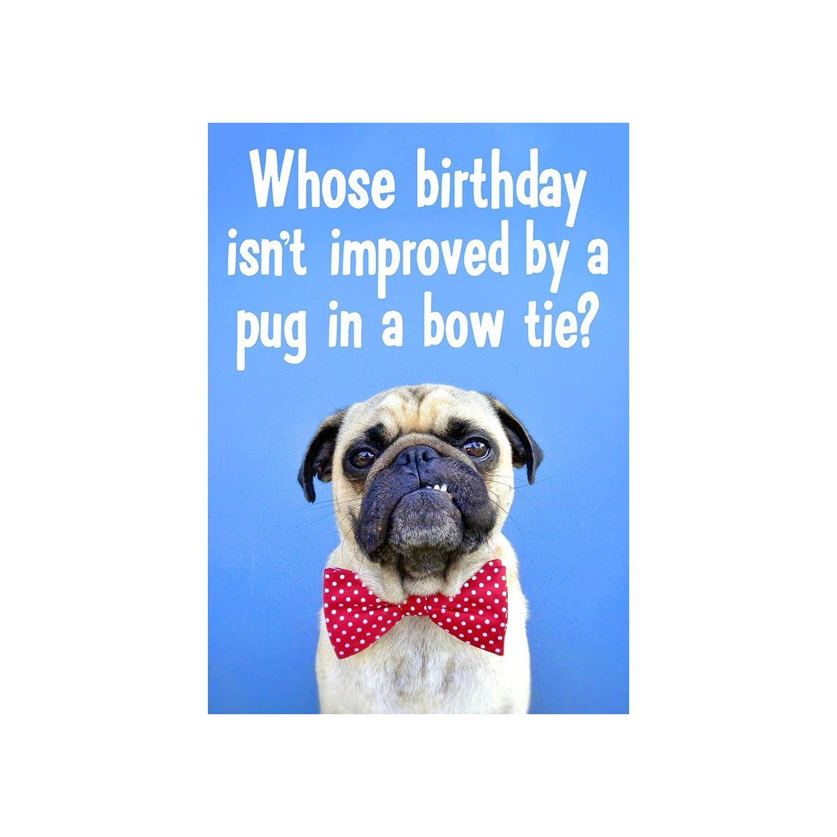 Pug in a Bowtie Birthday Card