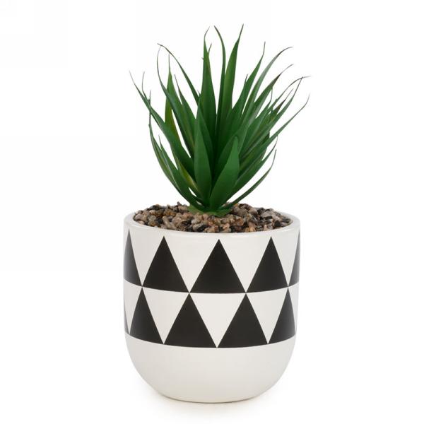 Potted Plant