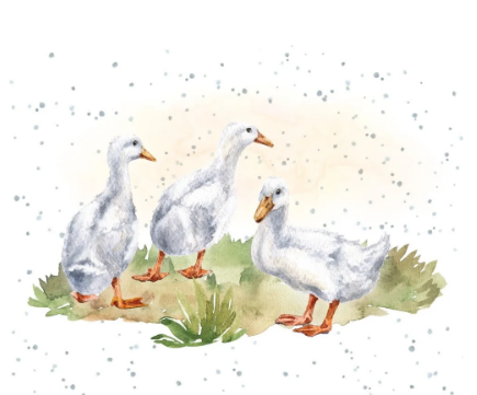 Small Card - Duck Duck Goose