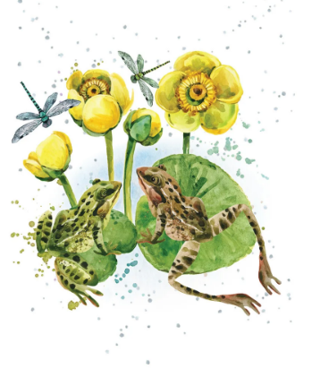 Small Card-Ribbiting