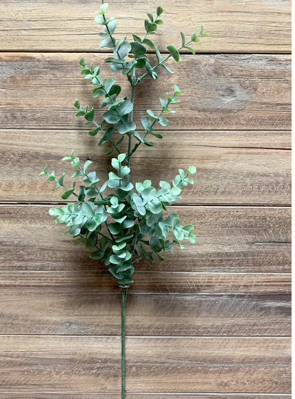 Eucalyptus Spray